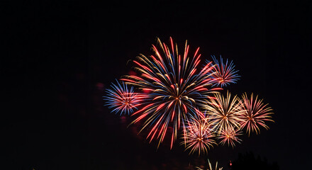 Colorful Fireworks Explosions Against a Dark Night Sky.