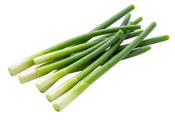 Fresh green scallions isolated on transparent background