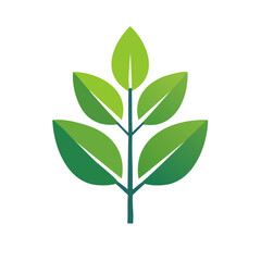 Minimalist Plant Stem with Leaves Fresh Green Design Element Vector Graphic