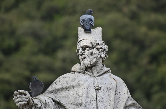 Bird Sitting On A Statue In Riva Del Garda Italy On An Overcast Autumn Day