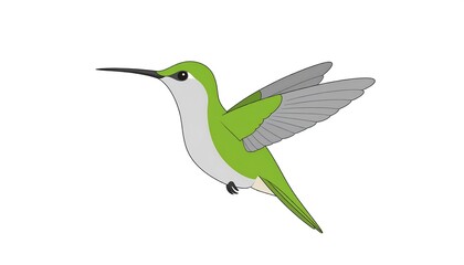 Obraz premium Illustration of a vibrant green hummingbird in flight against a white background with smooth