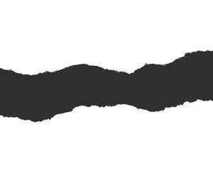 Torn paper edge isolated on transparent background