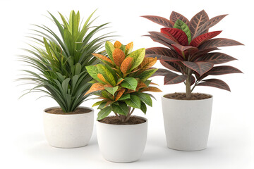 Artificial plants in flower pots isolated on white bckground