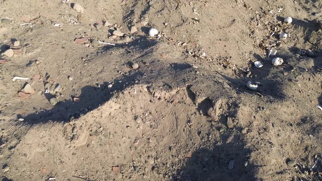 Nazca Ancient Burials, Exhumed Remains, Looting