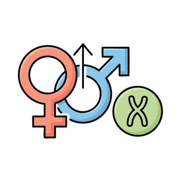 Conceptual illustration depicting gender symbols for male and female alongside an X chromosome