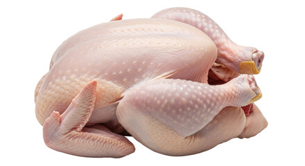 Isolated Raw Chicken