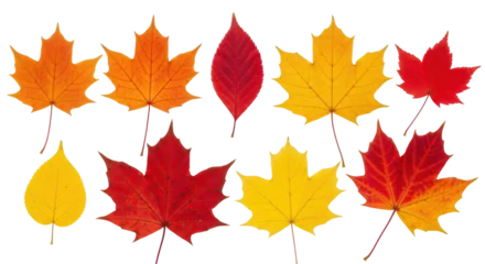 Fototapete Wasserfälle Isolated Autumn Leaves  © Maria