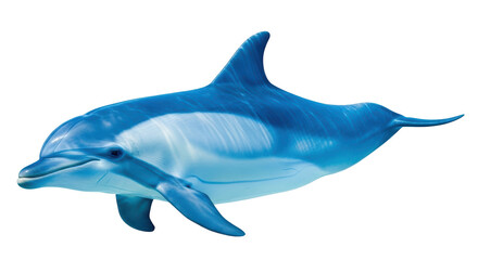 Isolated Dolphin in the Ocean