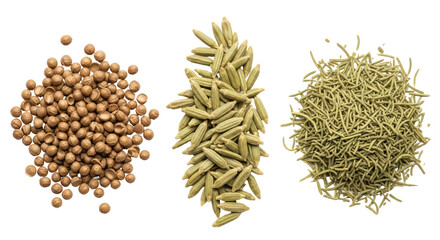 Isolated Assortment of Culinary Herbs