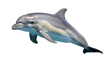 Isolated Bottlenose Dolphin Leaping