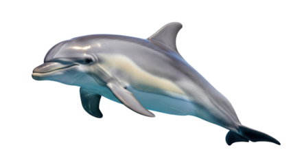 Isolated Bottlenose Dolphin Leaping