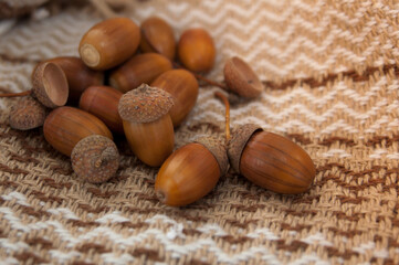 hazelnuts on a wooden background
