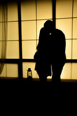 silhouette of a woman pregnancy