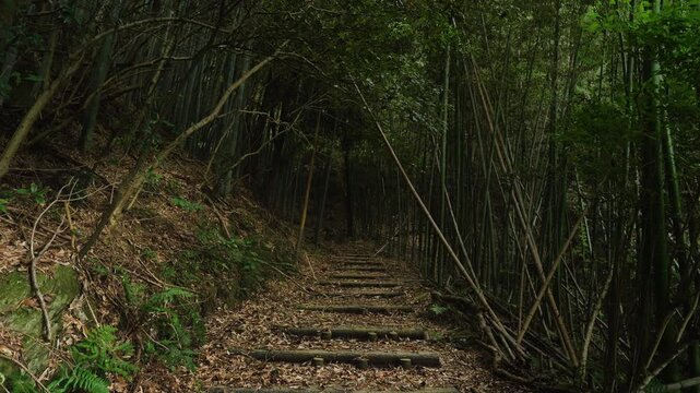 熊野古道・紀伊路「矢田峠(やたとうげ)」和歌山県和歌山市 ②Kumano Kodo Kiiji Route &ndash; Yata Pass in Wakayama City, Wakayama Prefecture #2