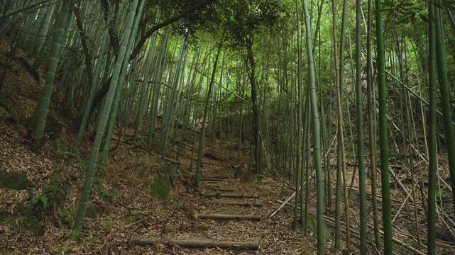 熊野古道・紀伊路「矢田峠(やたとうげ)」和歌山県和歌山市 ③Kumano Kodo Kiiji Route &ndash; Yata Pass in Wakayama City, Wakayama Prefecture #3