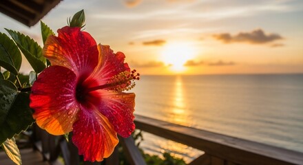 Hibiscus Sunset Serenity: A Tropical Paradise