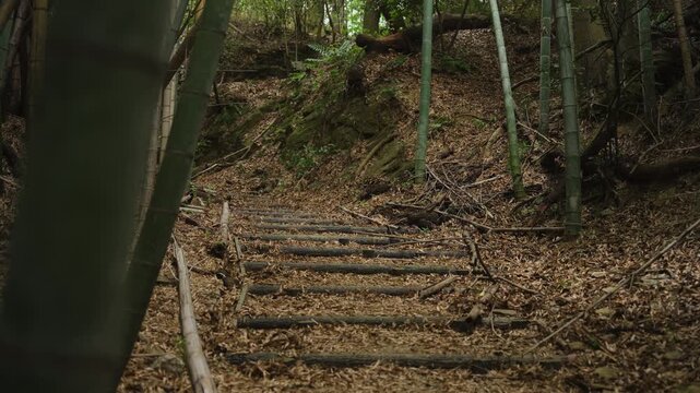 熊野古道・紀伊路「矢田峠(やたとうげ)」和歌山県和歌山市 ⑦Kumano Kodo Kiiji Route &ndash; Yata Pass in Wakayama City, Wakayama Prefecture #7