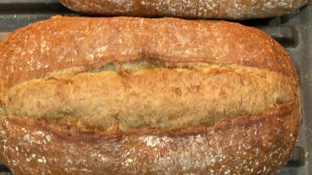 Fitness bread loaves with crusty tops in bakery tray