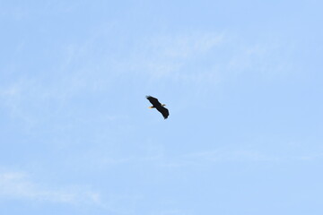 Marais Kingsbury 23 Août 2025