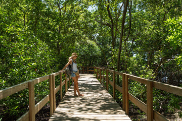 Tourist walking on wooden footbridge exploring mangrove forest in colombia