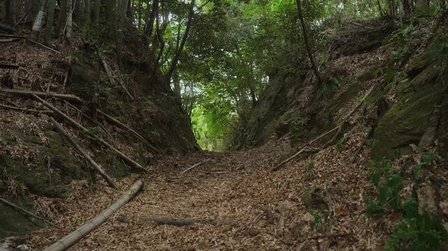 熊野古道・紀伊路「矢田峠(やたとうげ)」和歌山県和歌山市 ⑪Kumano Kodo Kiiji Route &ndash; Yata Pass in Wakayama City, Wakayama Prefecture #11