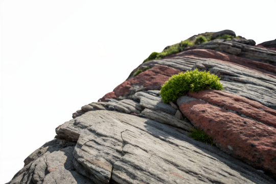 Striking angled view of a layered rock formation, showcasing vibrant colors and a touch of green vegetation against a blank canvas