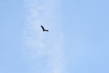 Marais Kingsbury 23 Août 2025