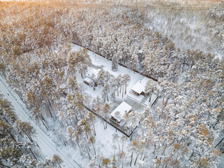Aerial view of the road in the winter forest with high pine or spruce trees covered by snow. Driving in winter.