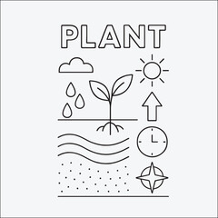 plants vector image.