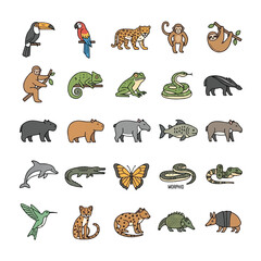 Obraz premium Collection of various colorful line art illustrations of South American animals.