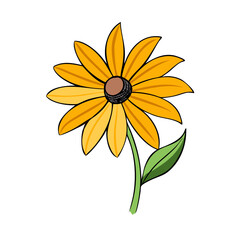 Obraz premium Illustration of a single yellow rudbeckia hirta flower with a green stem
