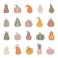 Pumpkin set in scandinavian style with vegetable different shapes perfect for farmhouse kitchen rustic decor organic food market autumn harvest botanical design projects