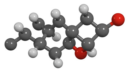 A detailed molecular structure featuring gray white and red spheres connected by rods on a white background