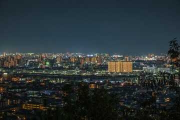 Obraz premium 日本の岡山県岡山市の都市夜景と打ち上げ花火