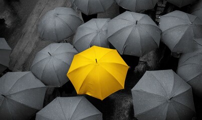 A single bright yellow umbrella amidst a crowd of dark gray umbrellas