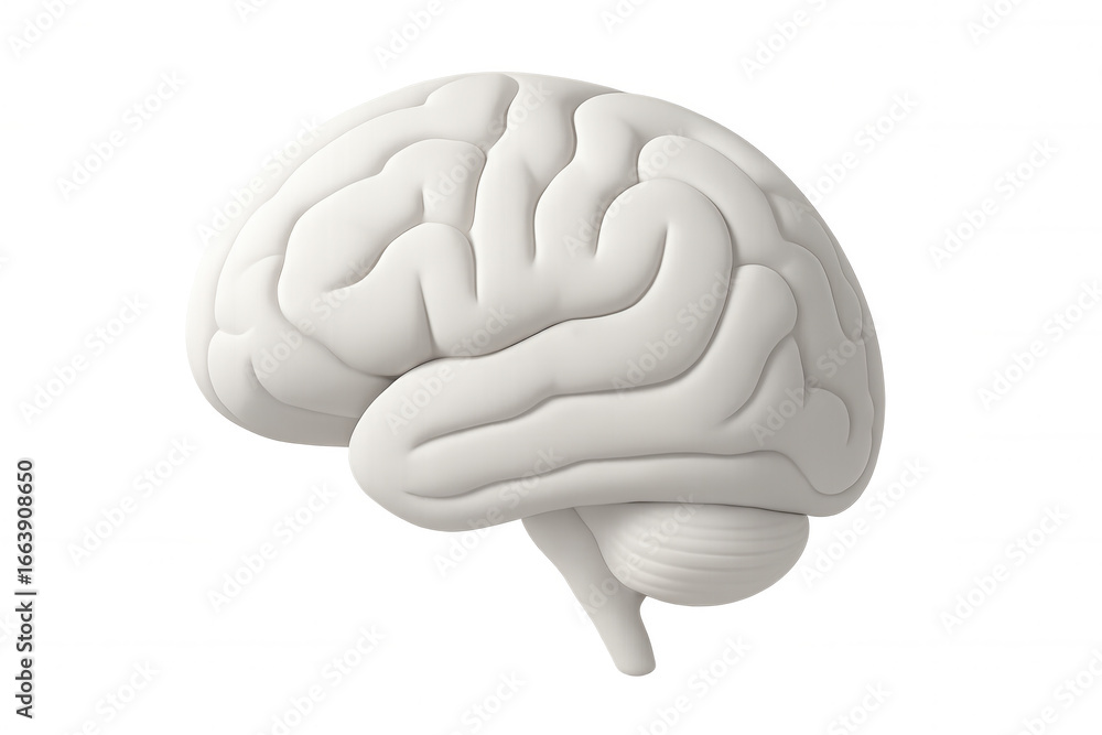 Poster realistic 3d rendering of a white human brain rotating on a transparent background, perfect for medi