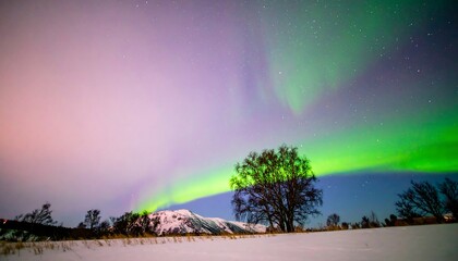 A breathtaking display of the aurora borealis illuminates a snowy landscape at night, showcasing vibrant hues and a tranquil ambiance.