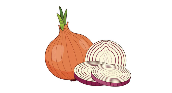 Detailed illustration depicting an onion and several onion slices, perfect for culinary and health-related designs and educational resources
