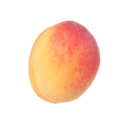 One fresh ripe apricot isolated on white