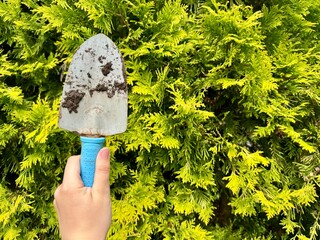 Hand holding garden shovel with blue handle against green foliage background