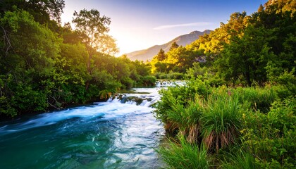 Picturesque River Scene Flowing Through a Lush Green Forest at Sunset