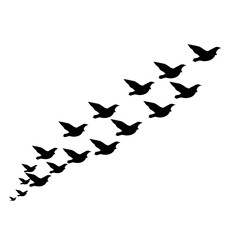 Fototapeta premium A delicate line of birds ascending into darkness symbolizing hope and freedom
