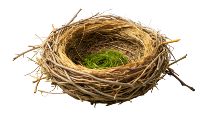 bird nest on white background