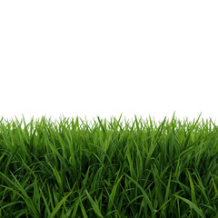 Fototapeta premium Lush green grass against stark backdrop offering contrast and fresh aesthetic texture