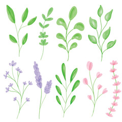 Watercolor floral branches collection