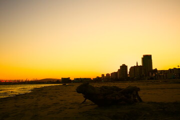 Golden sunset over the shoreline of Long Beach, California, with silhouetted buildings, calm waves, and a peaceful coastal skyline along the Pacific Ocean.