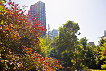 Park in the heart of downtown seattle