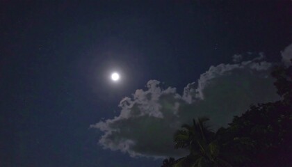 Naklejka premium A full moon shines brightly above a dark sky filled with clouds, casting a soft glow on the distant trees.