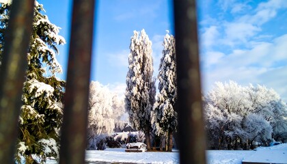 Snowy winter scene with frosted trees viewed through metal bars, showcasing a bright blue sky and a tranquil atmosphere.