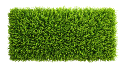 Artificial grass mat on white isolated background, perfect for landscaping and home decor.